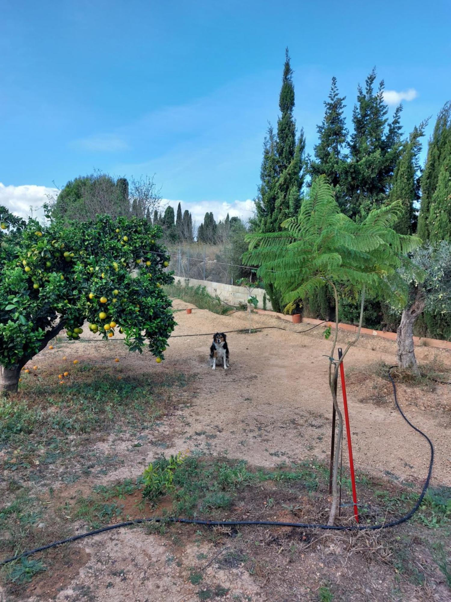 Les Berreries Vila Montroy Exterior foto